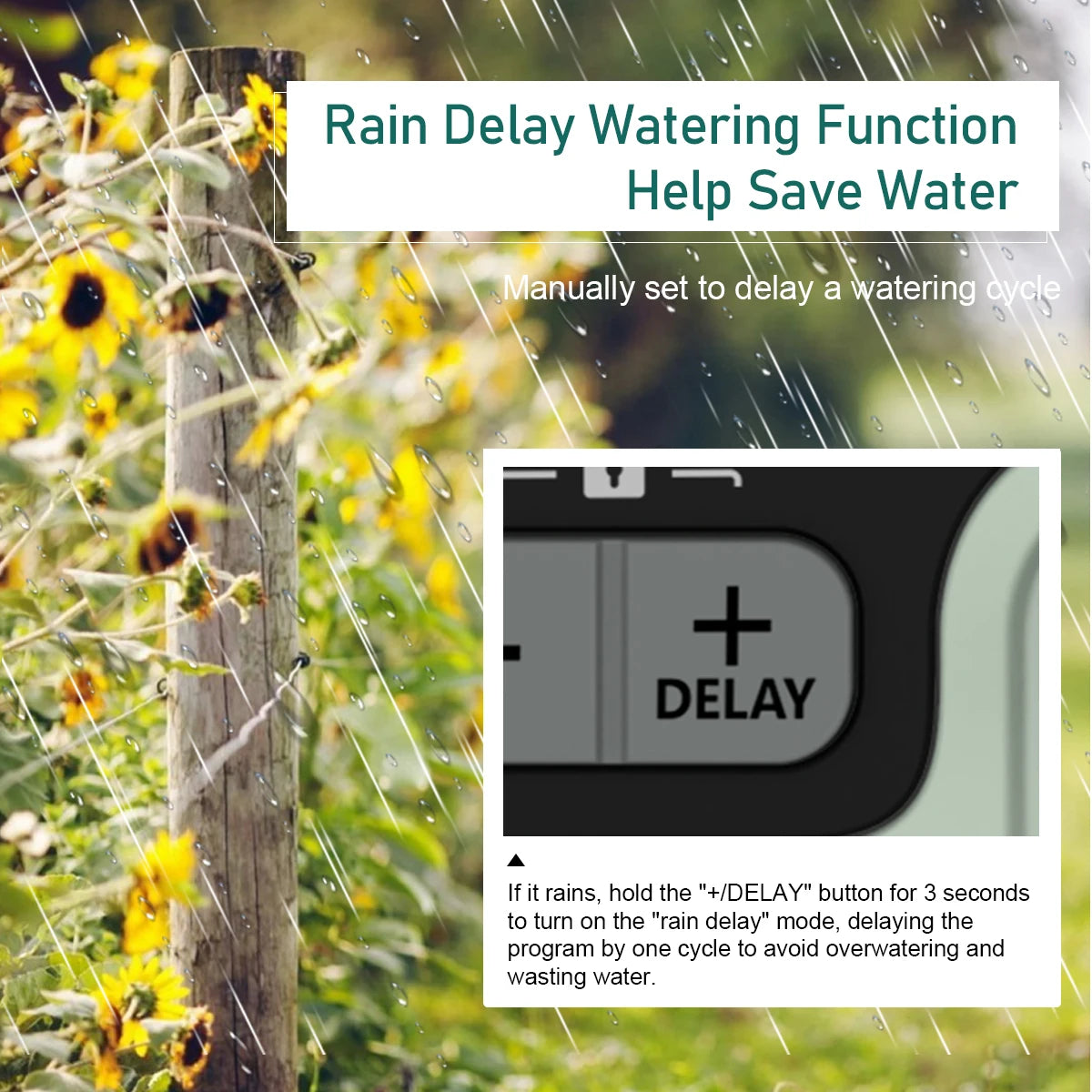 Watering Timer Wizard